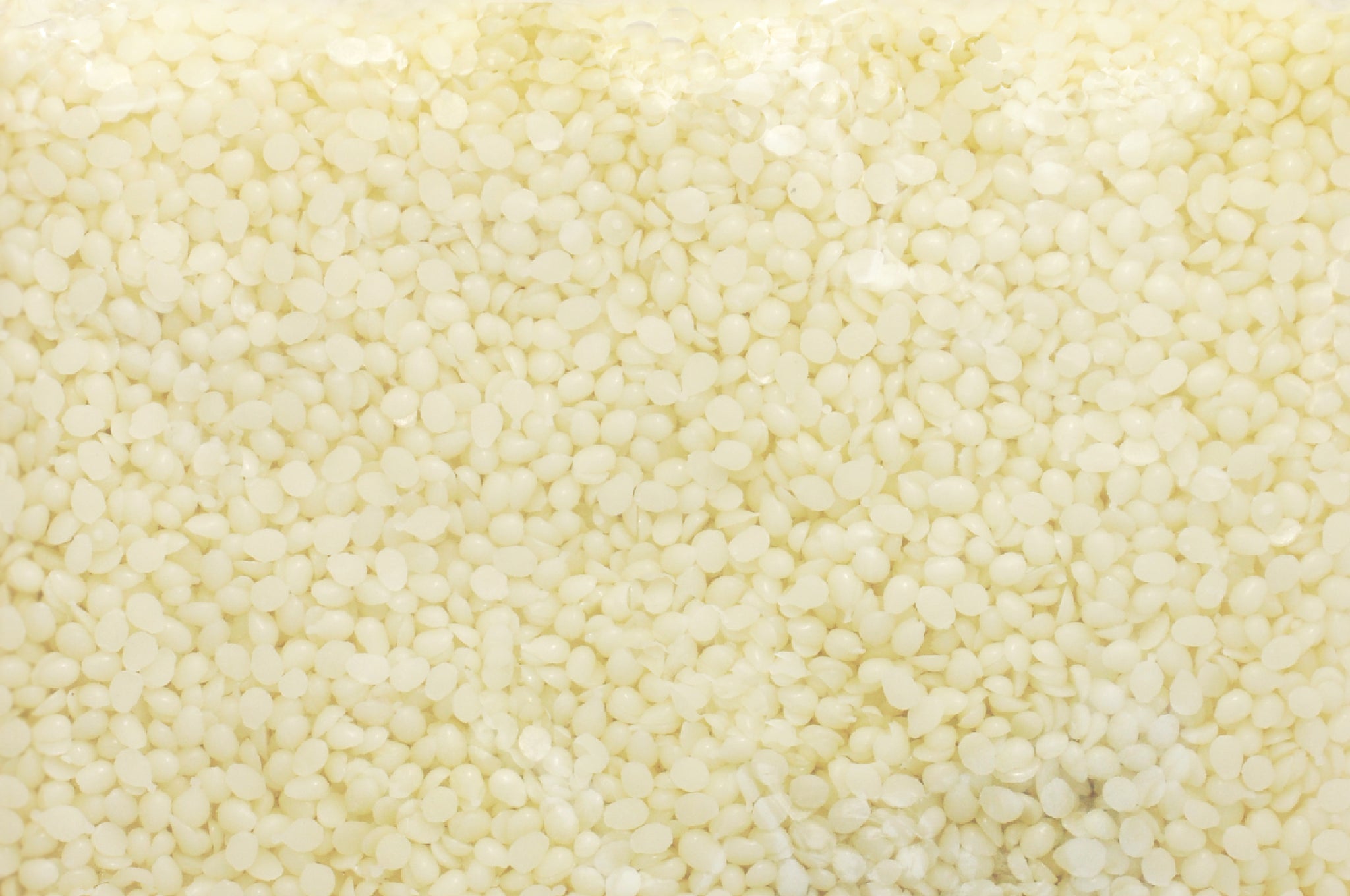 Buy Bulk - Beeswax - White Granules - Organic (Origin: USA) - 20 kg (44  lbs)
